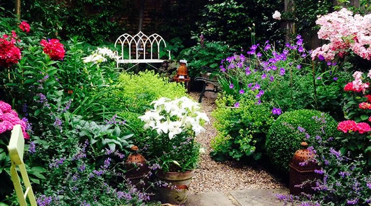 Urban Garden Clapham