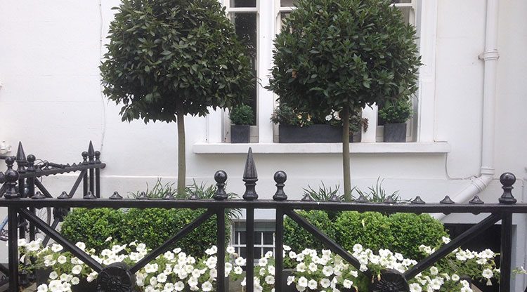 Urban Garden Kensington