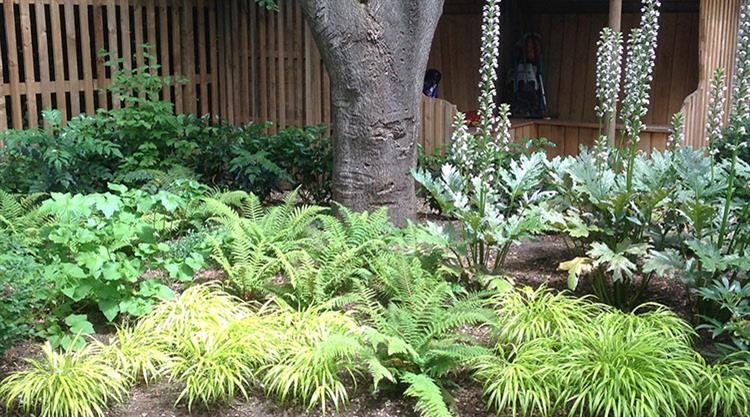 Urban Garden Planting Design