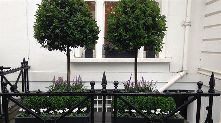 Urban Garden Kensington