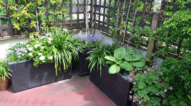 Urban Garden Roof Terrace