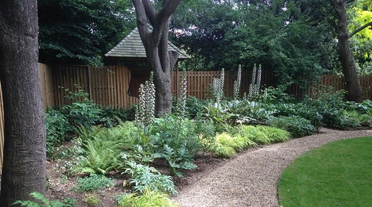 Urban Garden Planting Design