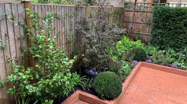 Urban Garden Clapham SW4