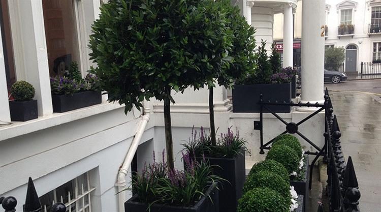 Urban Garden Kensington