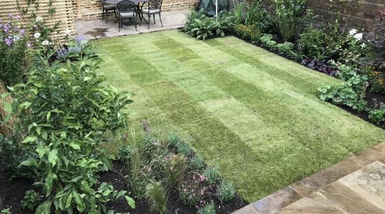 Urban Garden Clapham SW11