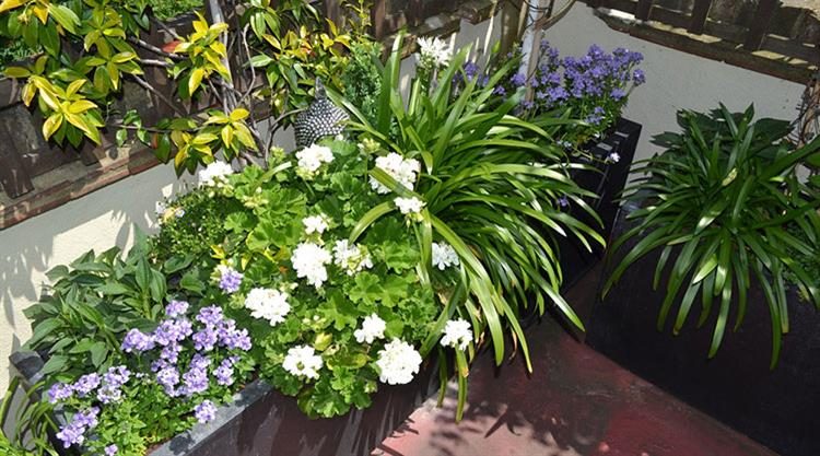 Urban Garden Roof Terrace