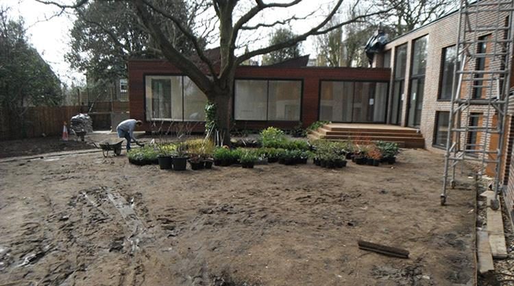 Urban Garden Planting Design