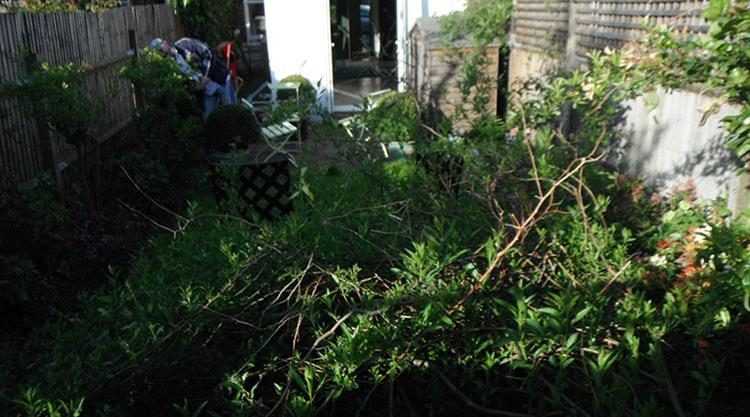 Urban Garden Clapham