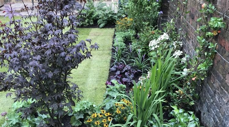 Urban Garden Clapham SW11