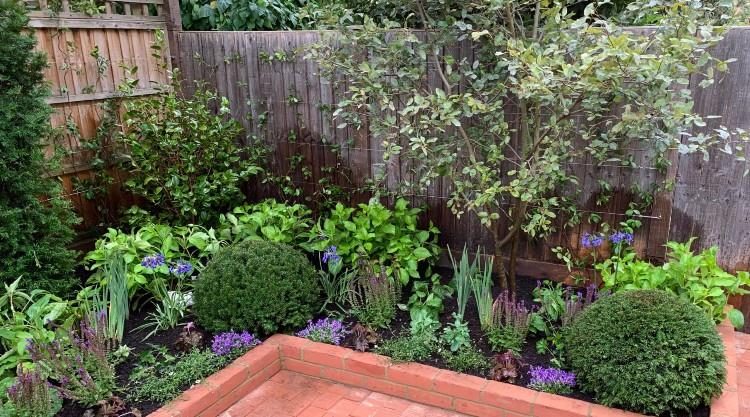 Urban Garden Clapham SW4