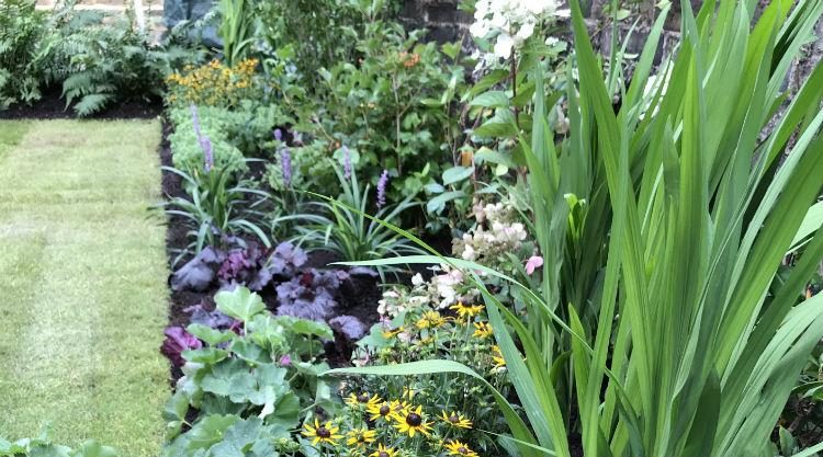 Urban Garden Clapham SW11