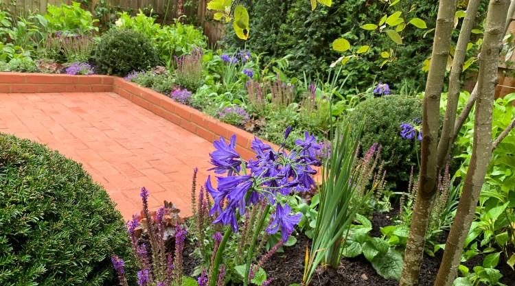 Urban Garden Clapham SW4