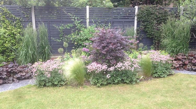 Urban Garden SW London