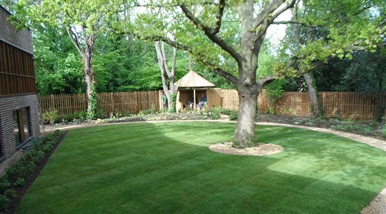 Urban Garden Planting Design