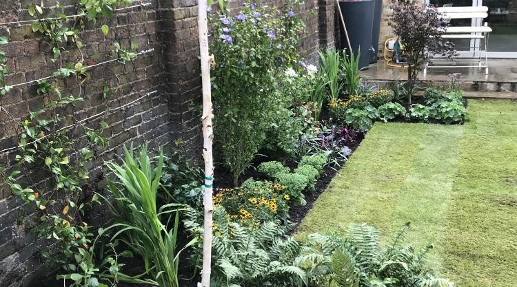 Urban Garden Clapham SW11