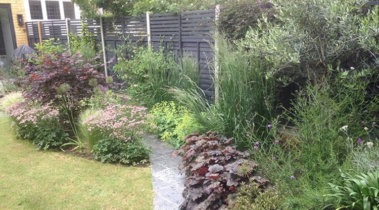 Urban Garden SW London