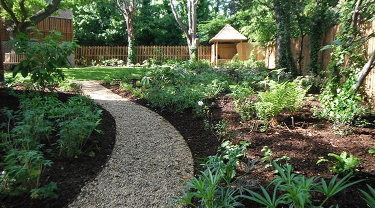 Urban Garden Planting Design