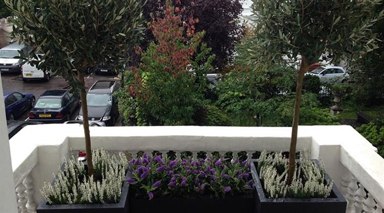 Urban Garden Kensington