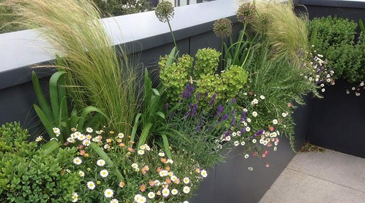 Urban Garden Water Tower