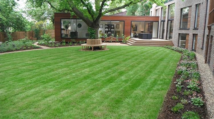 Urban Garden Planting Design