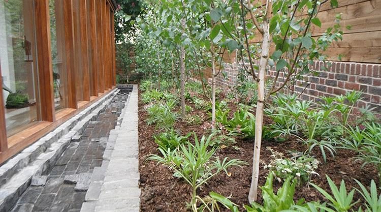 Urban Garden Planting Design