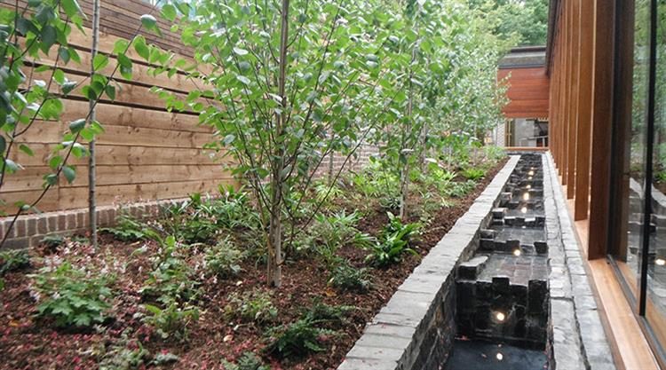Urban Garden Planting Design