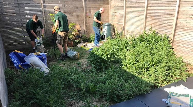 Urban Garden Kennington