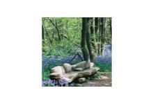 Friedel Buecking Wood Sculptor