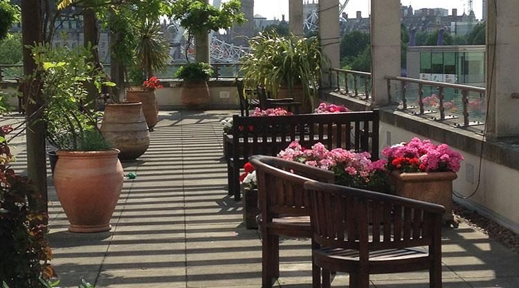 Urban Garden Maintenance - Managed Estates