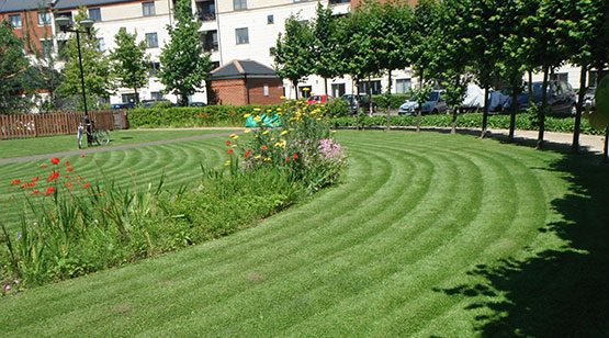 Urban Garden Maintenance - Managed Estates