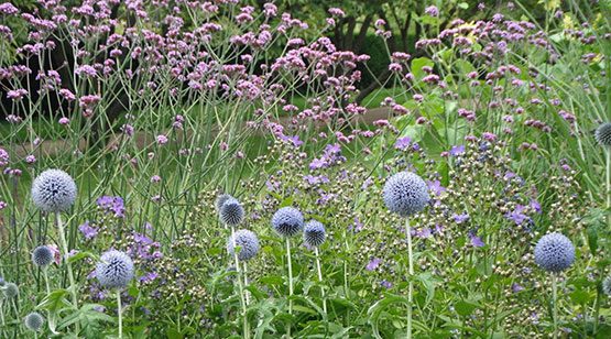Planting Services South London