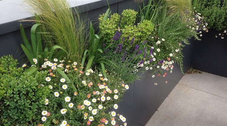 Window Box Planters South London