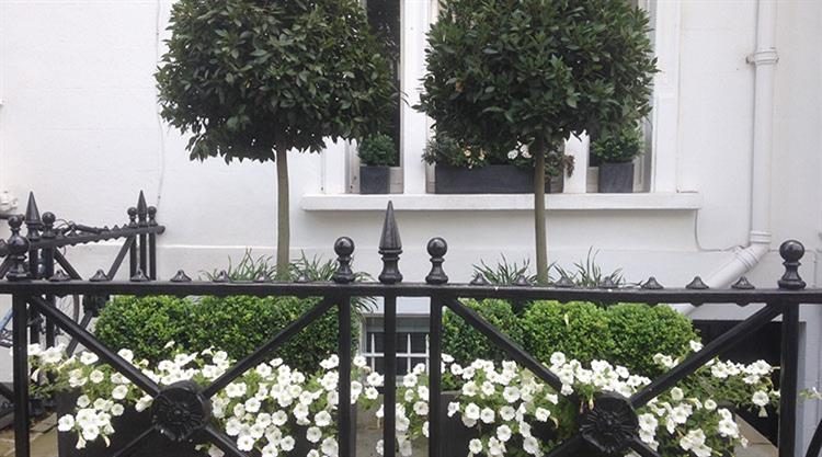 Window Box Planters South London