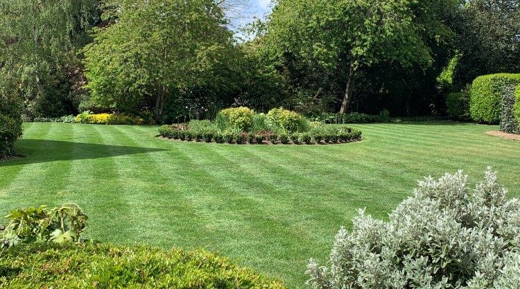 Urban Garden Maintenance - Managed Estates