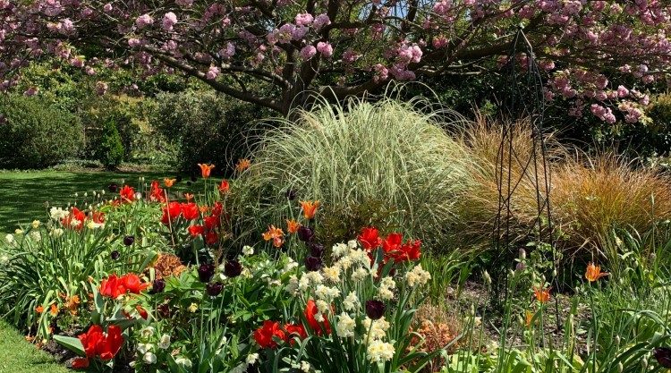 Urban Garden Maintenance - Managed Estates