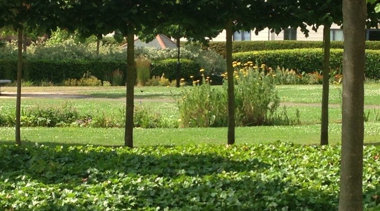 Urban Garden Maintenance - Managed Estates