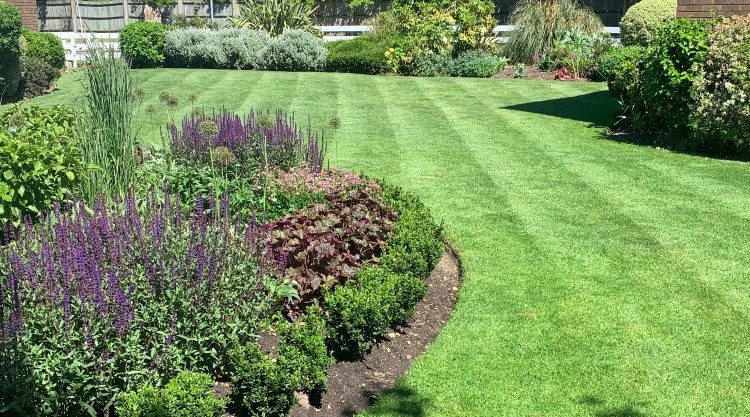 Urban Garden Maintenance - Managed Estates