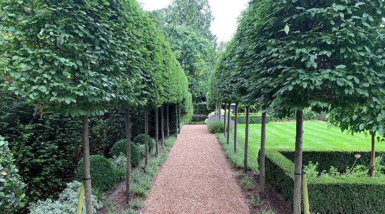 Urban Garden Maintenance - Private Gardens