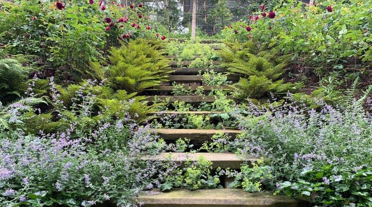 Urban Garden Maintenance - Private Gardens