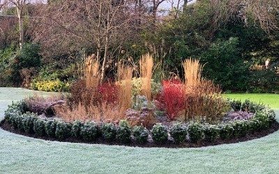 winter bed