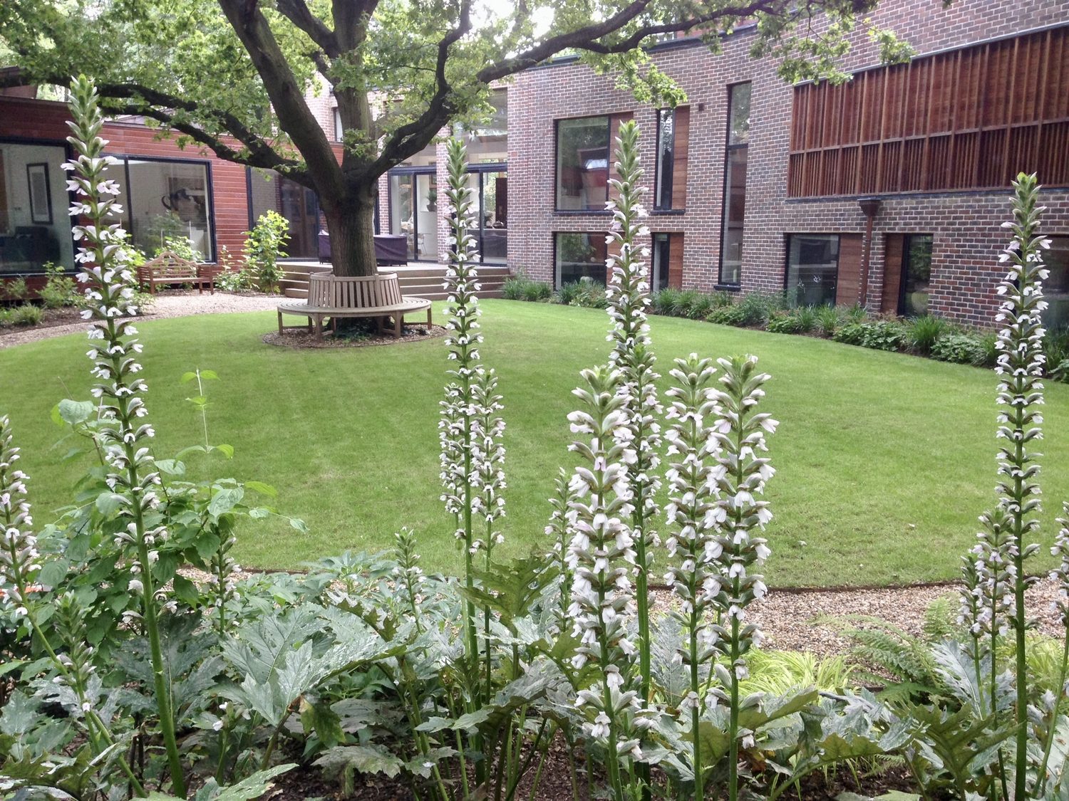 Garden Design South London