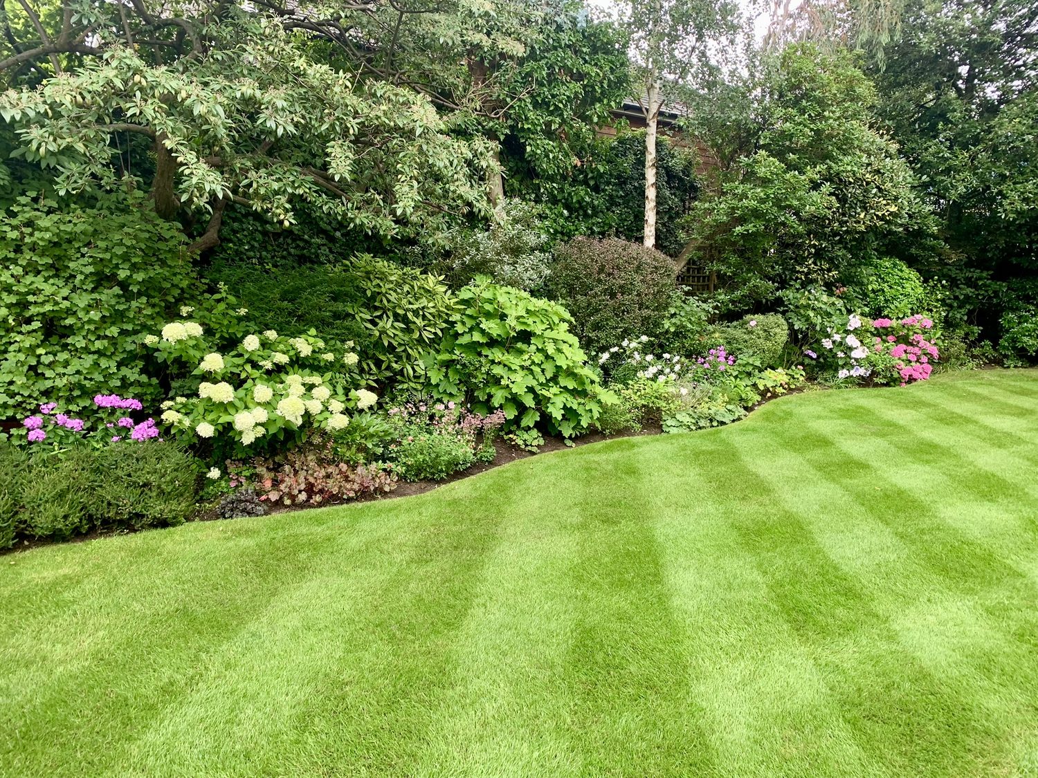 Garden Maintenance South London