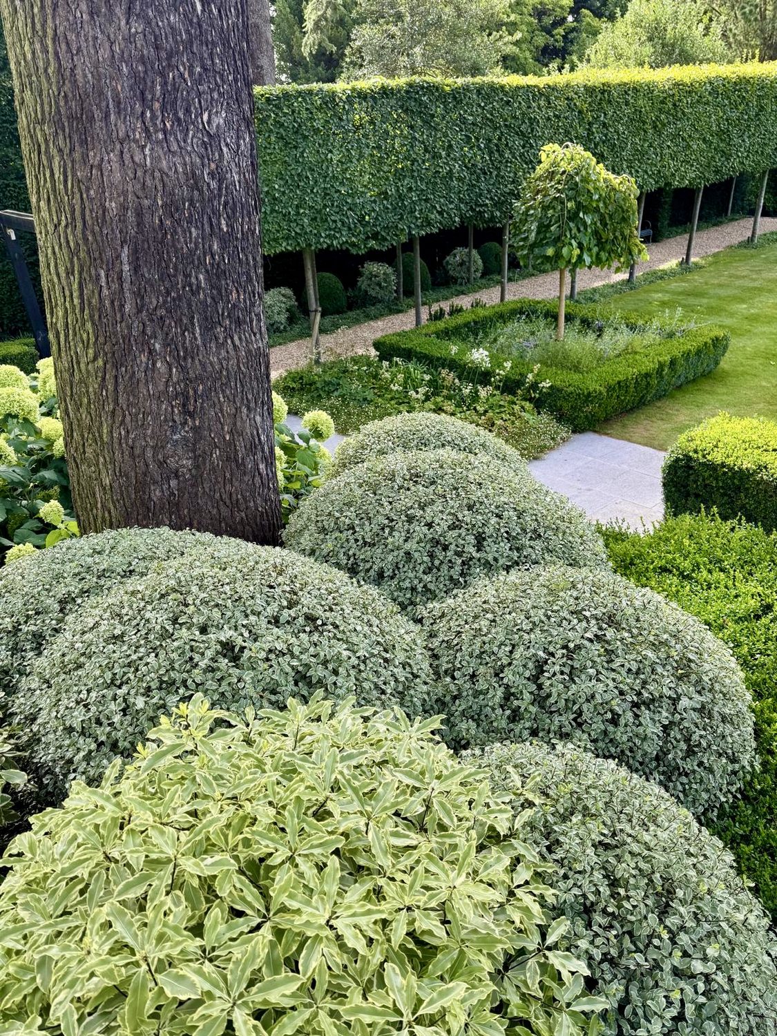 Garden Maintenance South London