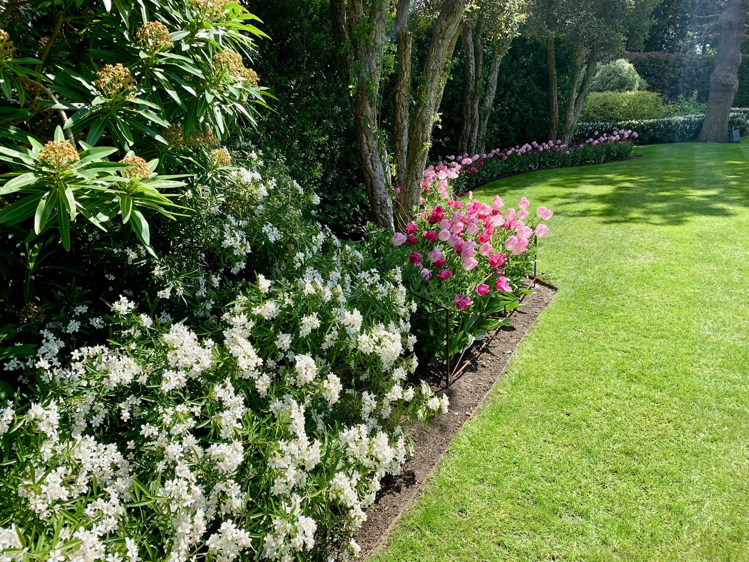 Garden Maintenance South London