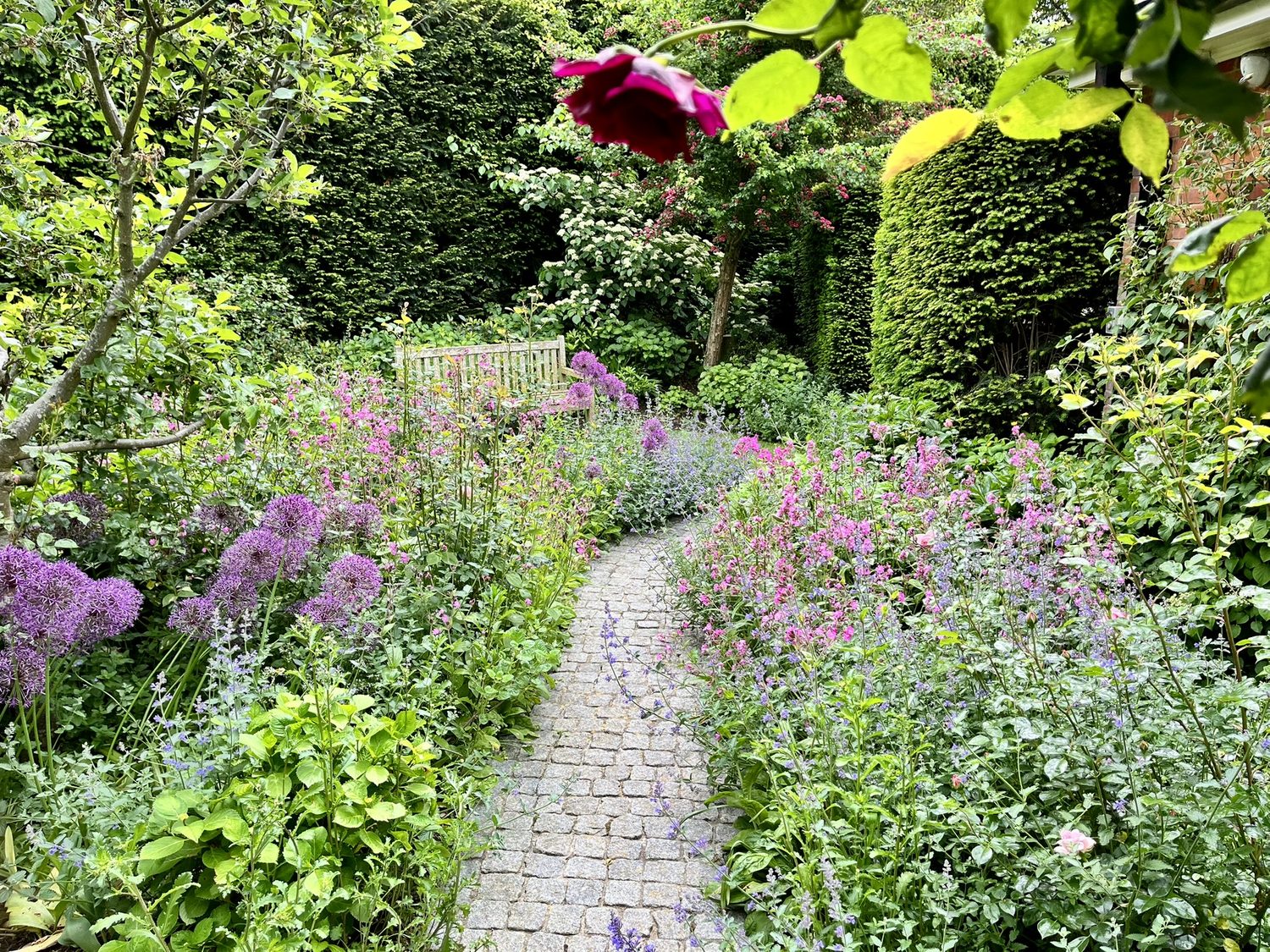 Garden Maintenance South London