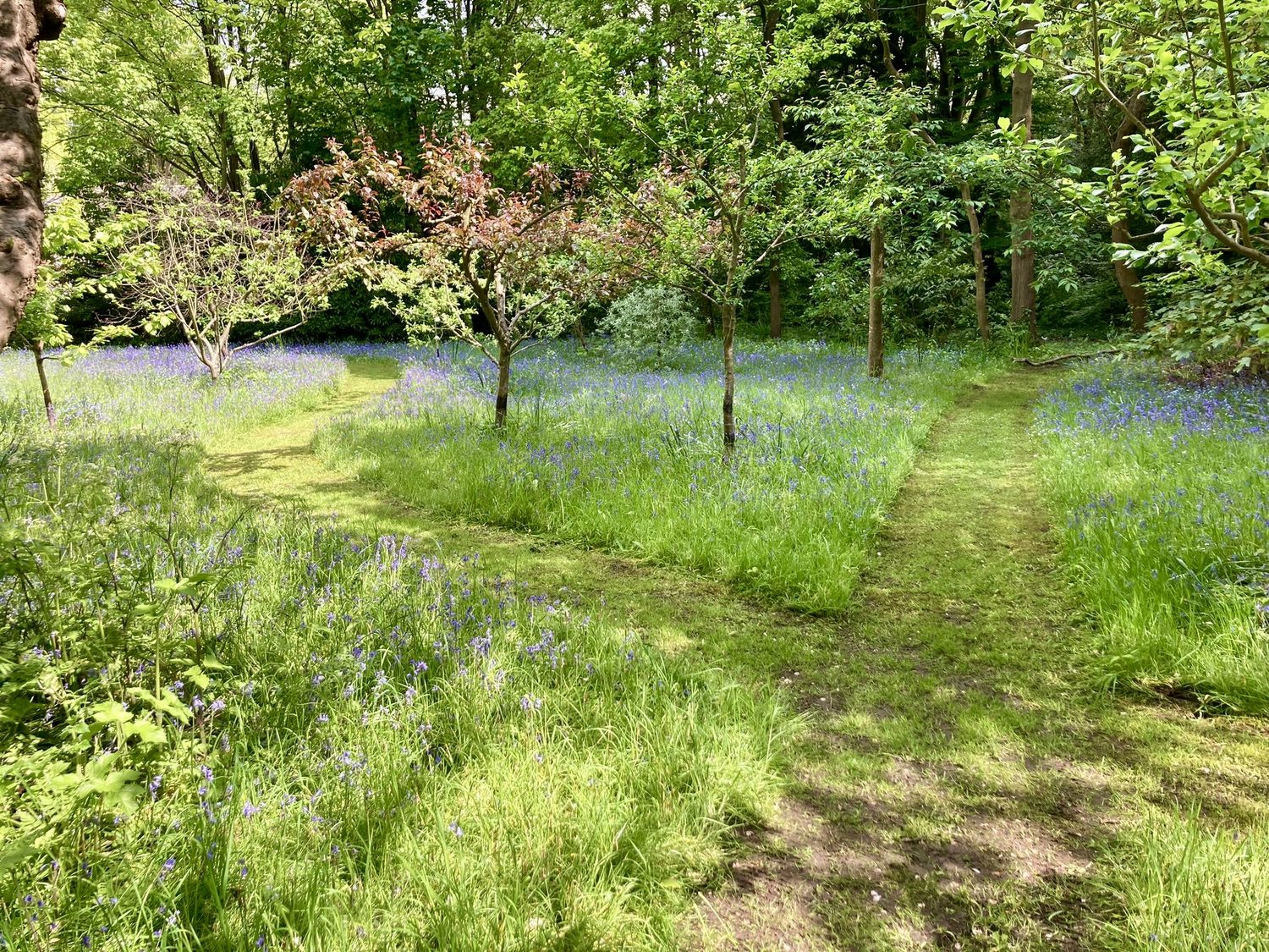 Urban Garden Maintenance - Managed Estates