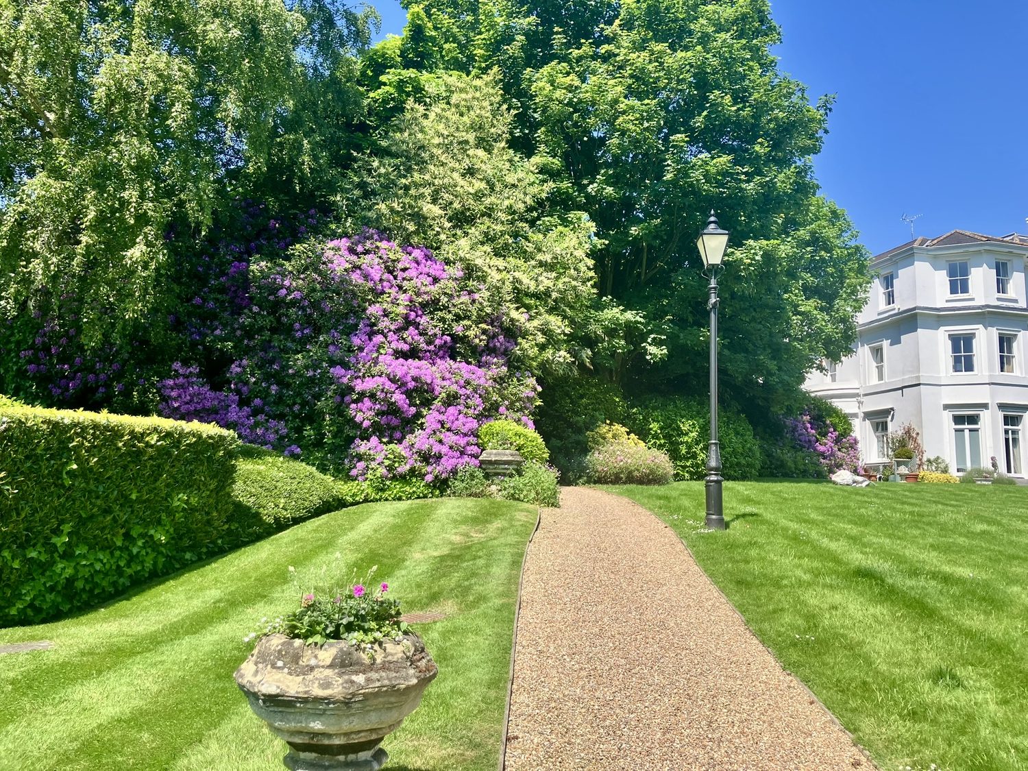 Urban Garden Maintenance - Managed Estates