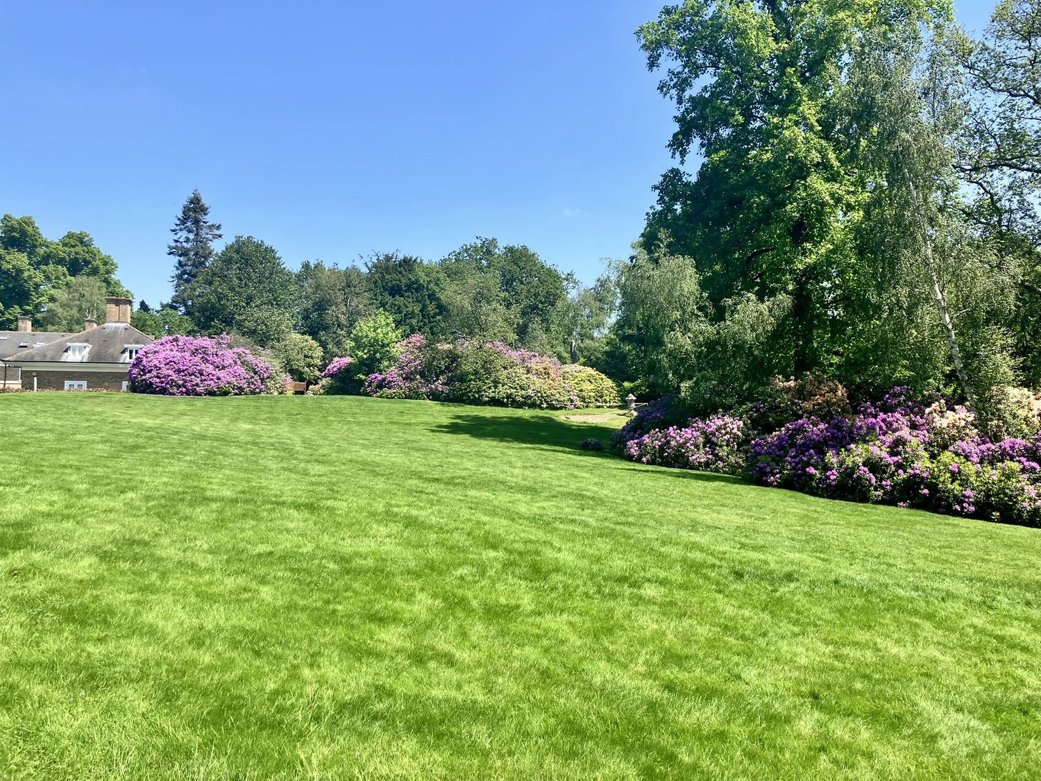 Urban Garden Maintenance - Managed Estates
