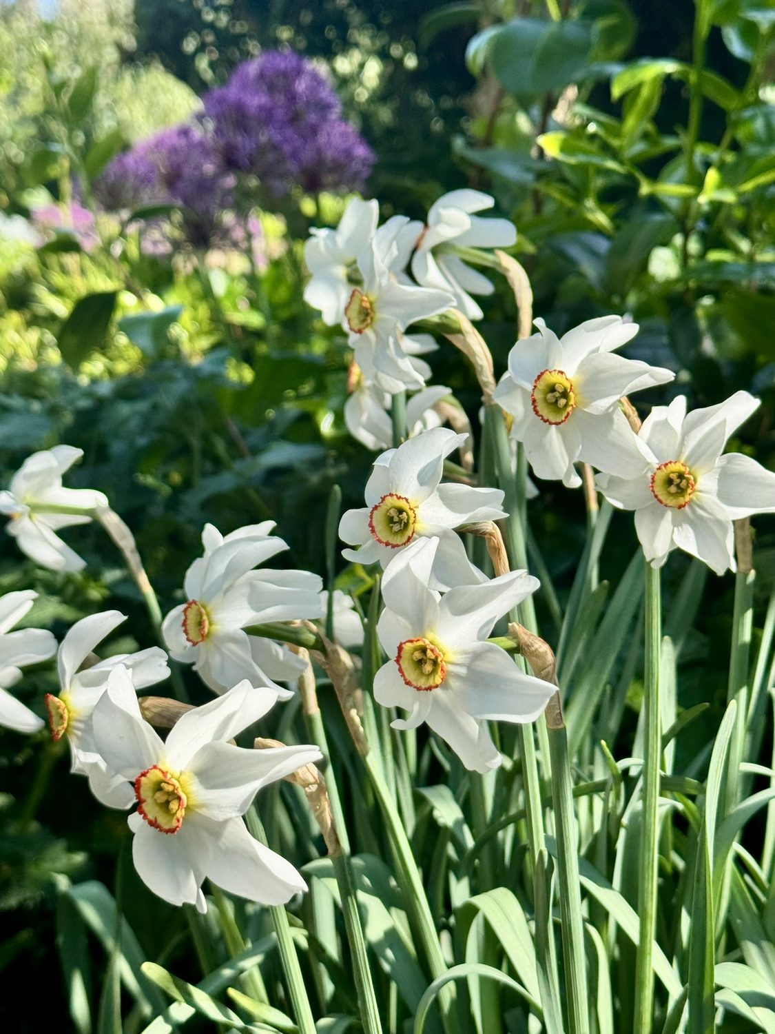 Planting Services South London