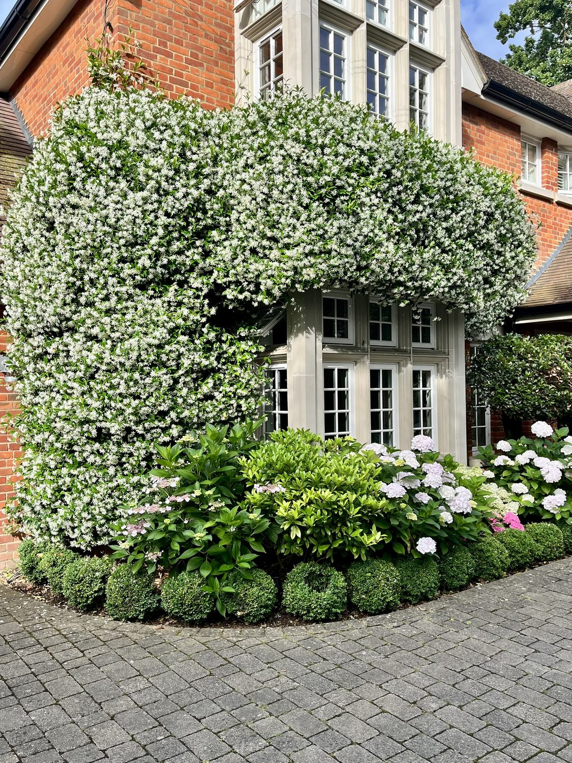 Planting Services South London
